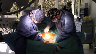 Labioplastia reducción labia minora, labios menores Marbella Madrid